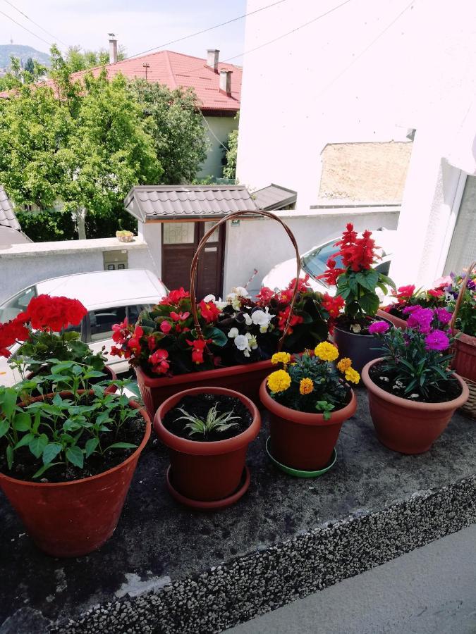 Apartman Ohren Sarajevo Ngoại thất bức ảnh